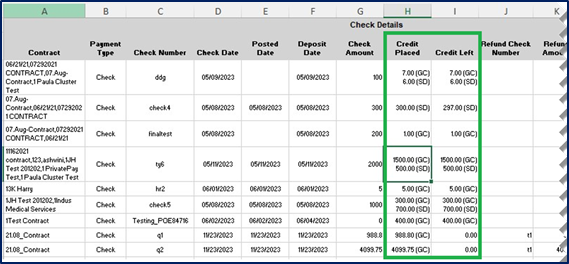 Credit Report Output (Excel Format)